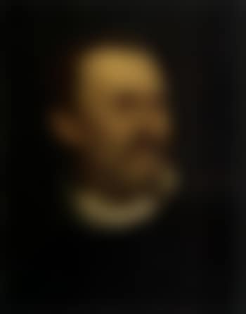 Portrait of a man in black doublet (preview)