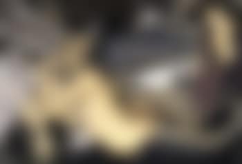 La Sirene (preview)