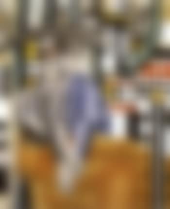 Les marchands de boeufs, I er etat (preview)