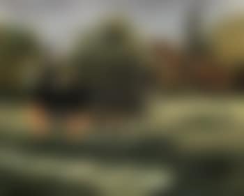 Nice, sur la promenade des Anglais (preview)