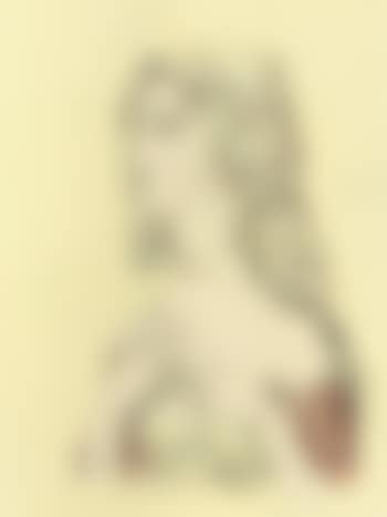 Femme au voile (preview)