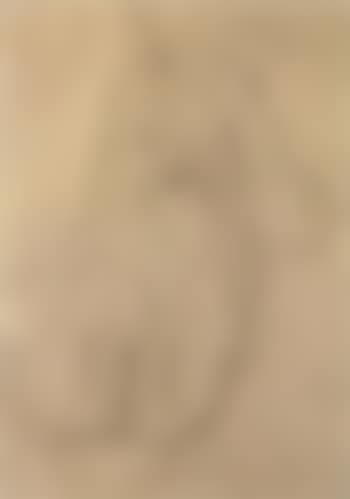 Study for the portrait of Adele Bloch-Bauer (preview)