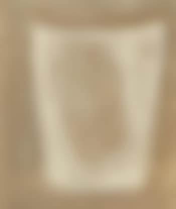 Two circles on curved form (preview)