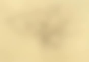 Arbre (preview)