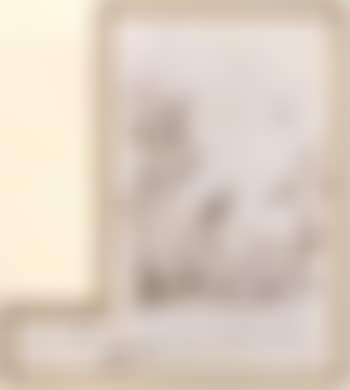 Noses (preview)