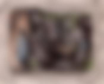 Portrait of a family (preview)