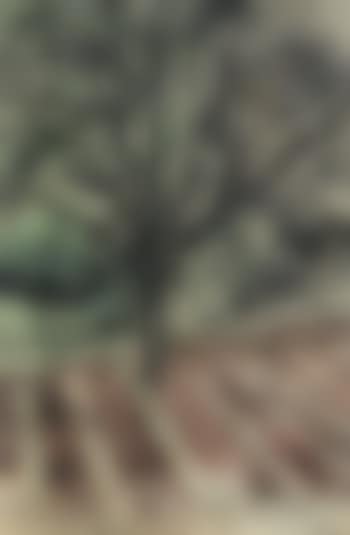 Orchard, springfield (preview)