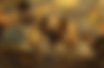 Study (preview)