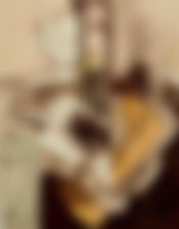 Instruments et bol de fruits devant une fenetre (preview)