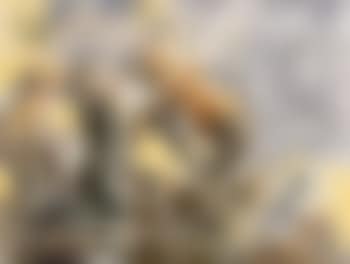 Ein Dichter ist er (preview)