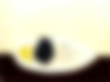 Artichauts (preview)