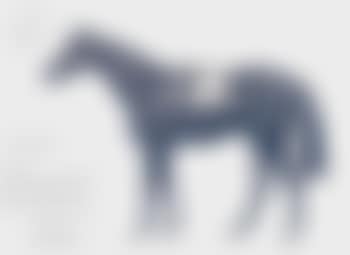 Tiberius, winner of the Ascot Gold Cup, 1935 (preview)