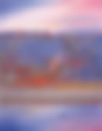 Sunset, Shoalhaven River with black swan (preview)