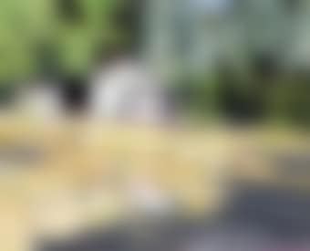 Summer cottage, Lake Kamaniskeg (preview)