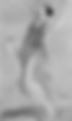Isadora Duncan dancing (preview)