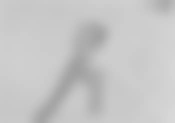 Dock worker (preview)