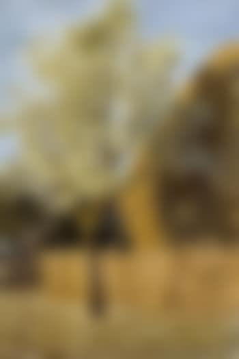 Apple tree (preview)