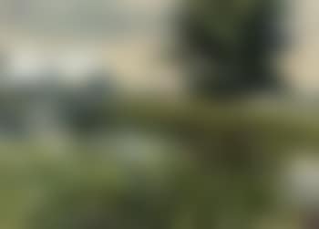 Waveney, Mendham (preview)