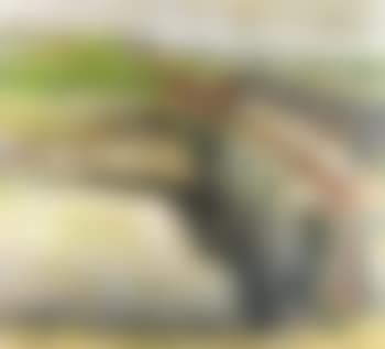 Vue de canal avec ecluse (preview)