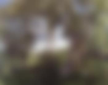 Paysage avec promeneurs se reposant sous les arbres (preview)
