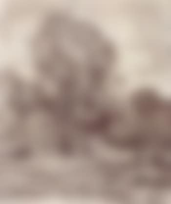 Dormoir des vaches (preview)