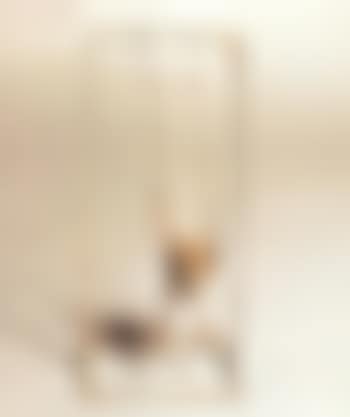 Balancoire bambou (preview)