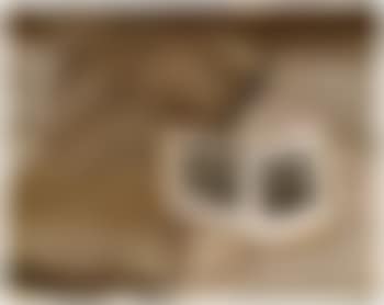Still life with book (preview)