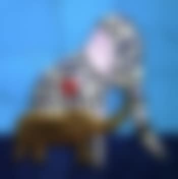 Elephants (preview)