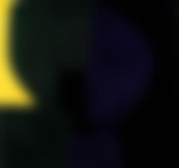 Lob noir (preview)