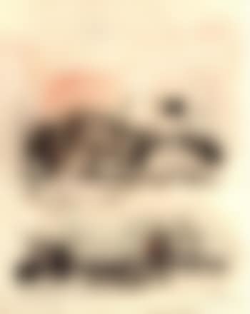 Bare trees (preview)