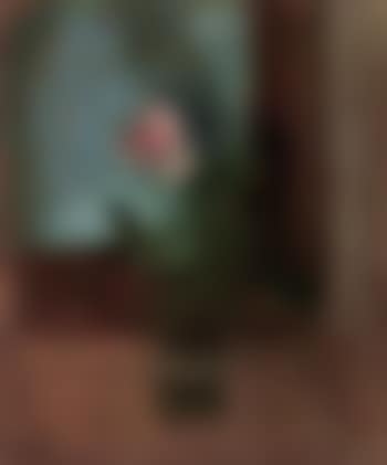 Pink rose (preview)