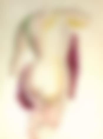 Female nude, back view (preview)