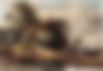 Horses by a flooded track (preview)
