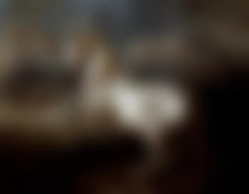 Dappled grey in landscape setting (preview)
