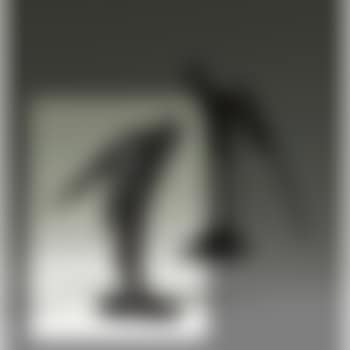 Untitled (preview)
