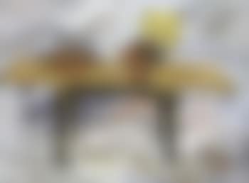 Untitled - still life (preview)