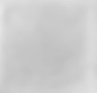 Untitled - grey (preview)