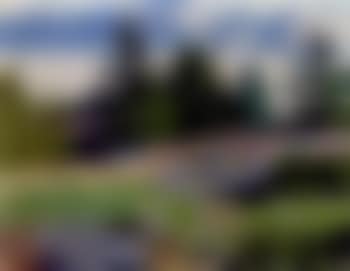 Rocky landscape with trees (preview)