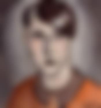Portrait of the artist's wife (preview)