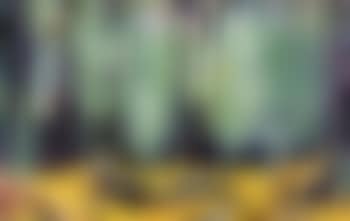 Wooded landscape (preview)