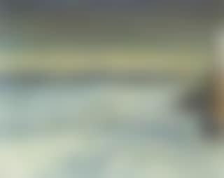 View from the artist's villa towards Skagen Harbour, winter (preview)