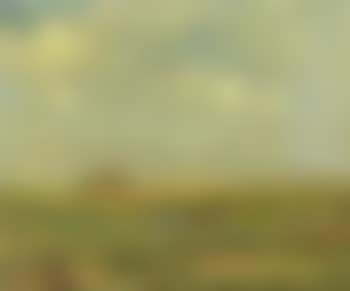 View across meadow with small pond (preview)