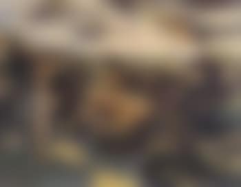 Torero (preview)