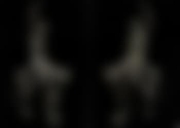 Allegorical male figures astride fantastic beast (preview)