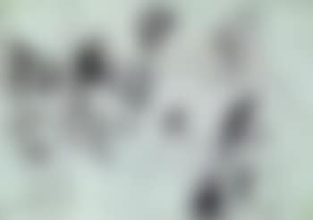 Study of women (preview)