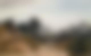 Cattle path (preview)