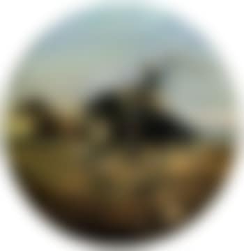 Vaquero (preview)