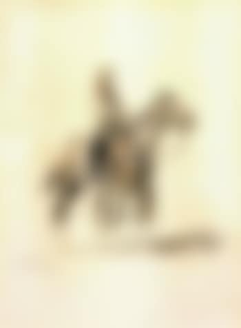 Texas cowboy (preview)