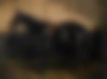 Portrait of Gladys, a black hunter (preview)
