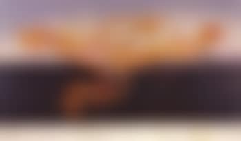 Runner (preview)
